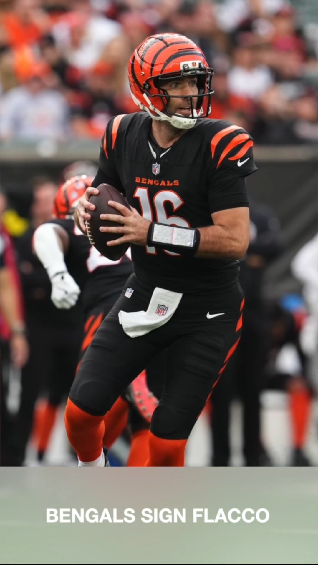 What Flacco’s Return Means for Bengals
